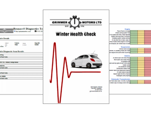 Winter Health Check