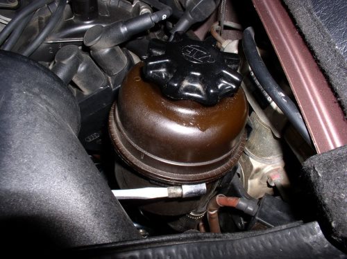 Power steering fluid can be checked by examining the power steering fluid reservoir.
