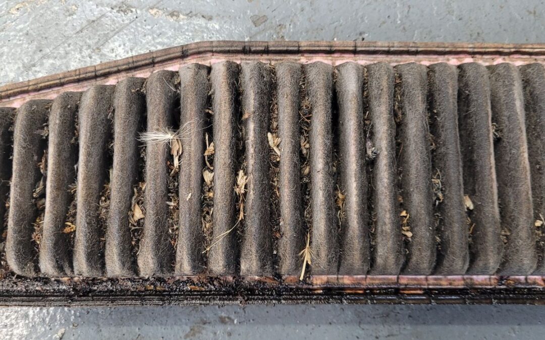 Blocked Car Engine Air Filter – Replacement Service in Hamilton