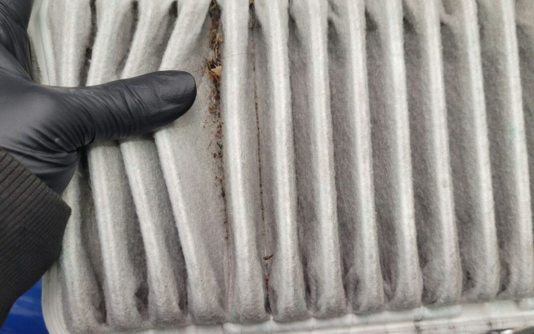 When to Replace your Car’s Air Filter