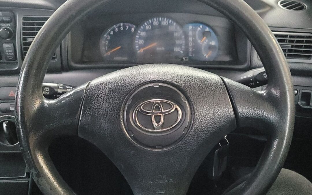 Failed Wof for Car Horn – Diagnostics & Replacement in Hamilton