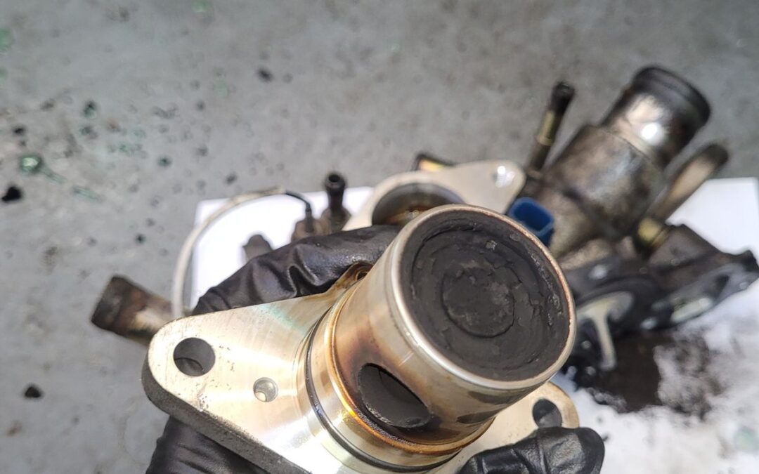 New Car Exhaust Gas Recirculation (EGR) Valve Hamilton