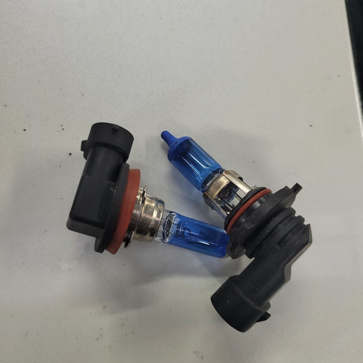 Two blue-tinted halogen headlight bulbs with black plastic bases, lying on a gray background.