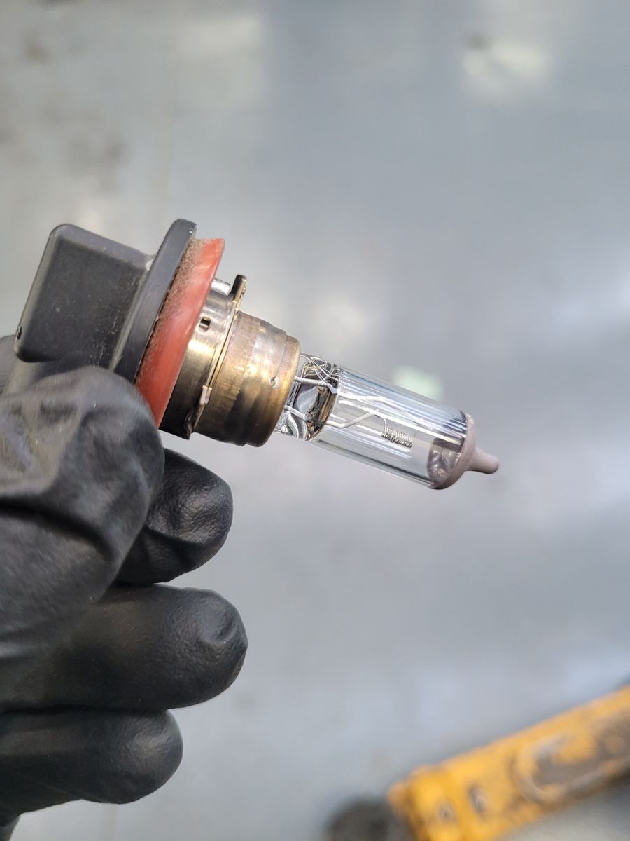 Close-up of HID Headlight Bulb in Gloved Hand Gloved hand holding an HID headlight bulb with clear glass tube and metal base.