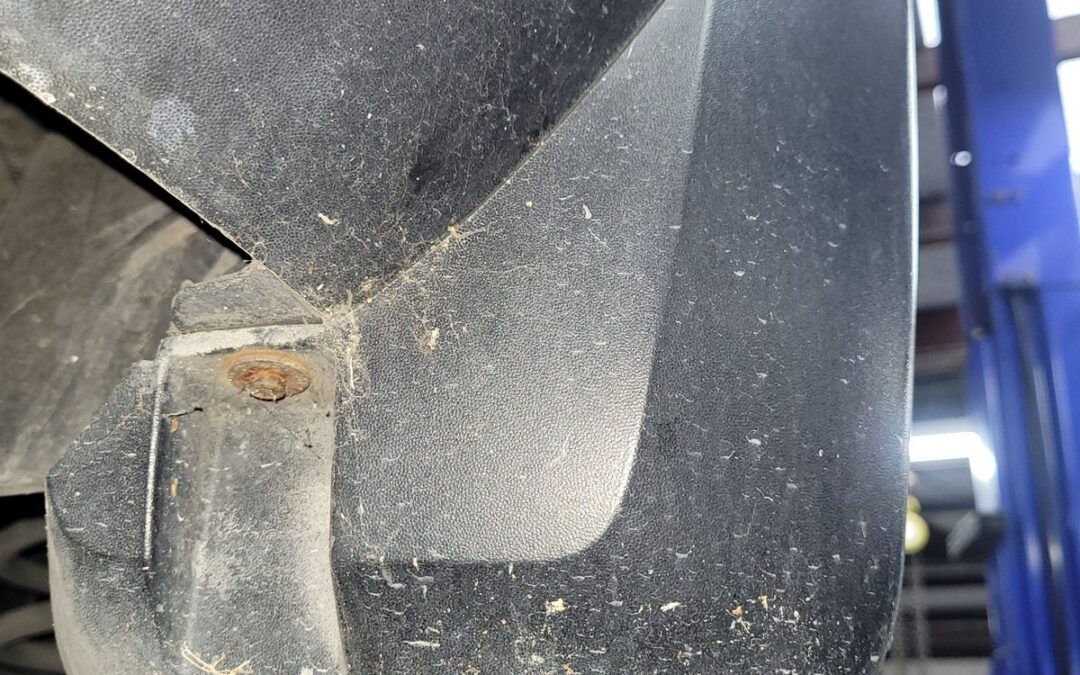 New Trailer Mudflaps / Mudguards in Hamilton