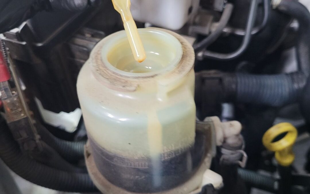 3 Power Steering Repair Tips for Hamilton WOF