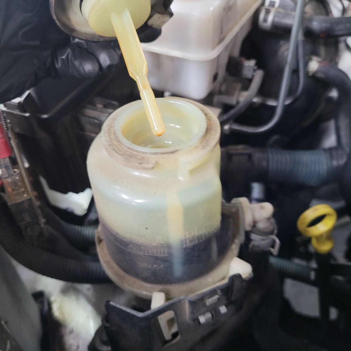Checking Power Steering Fluid Level Mechanic holding a dipstick over a power steering fluid reservoir in a car engine bay.