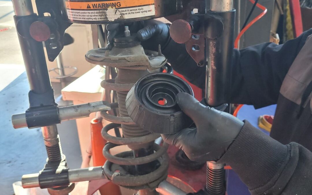 Strut Mount Replacement Hamilton