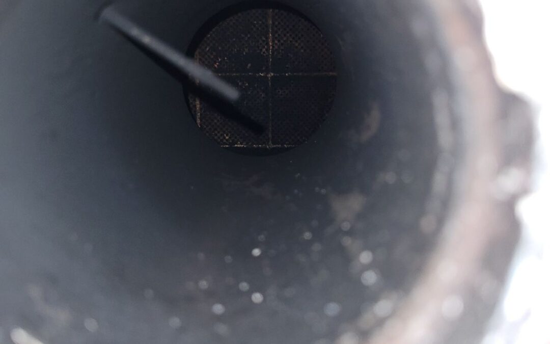 Exhaust Emissions – Causes & Failed WOF