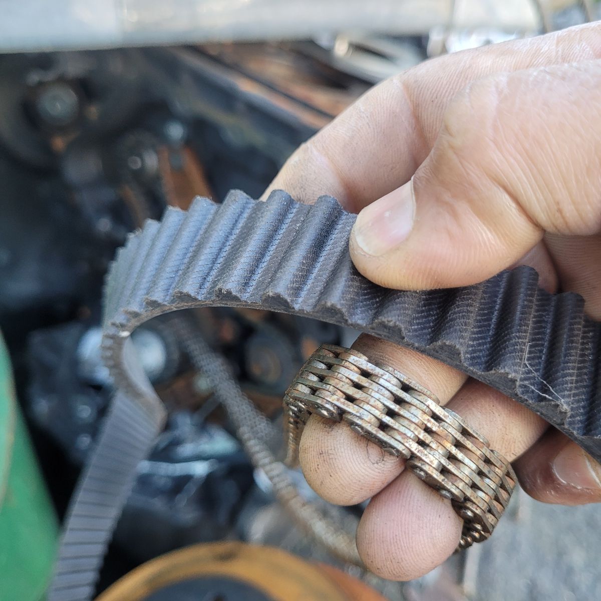 Hand holding a timing belt and timing chain in an engine bay